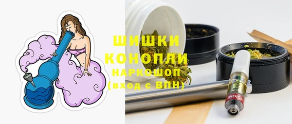 гидропоника Богданович