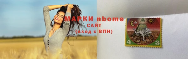 прущие грибы Богородск