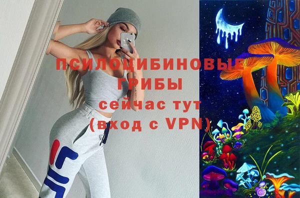гидропоника Богданович