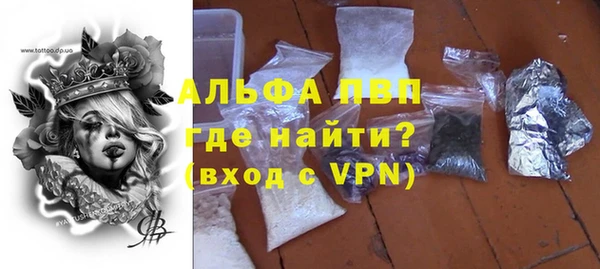 прущие грибы Пересвет