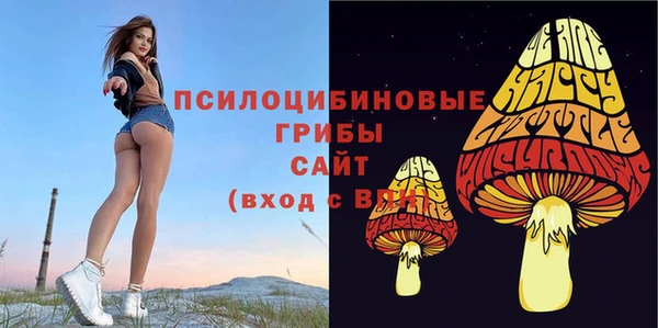 хмурый Переславль-Залесский
