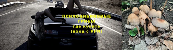 прущие грибы Богородск