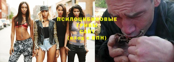 гидропоника Богданович