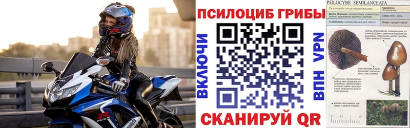 Галлюциногенные грибы Magic Shrooms  Купить где  Коммунар 